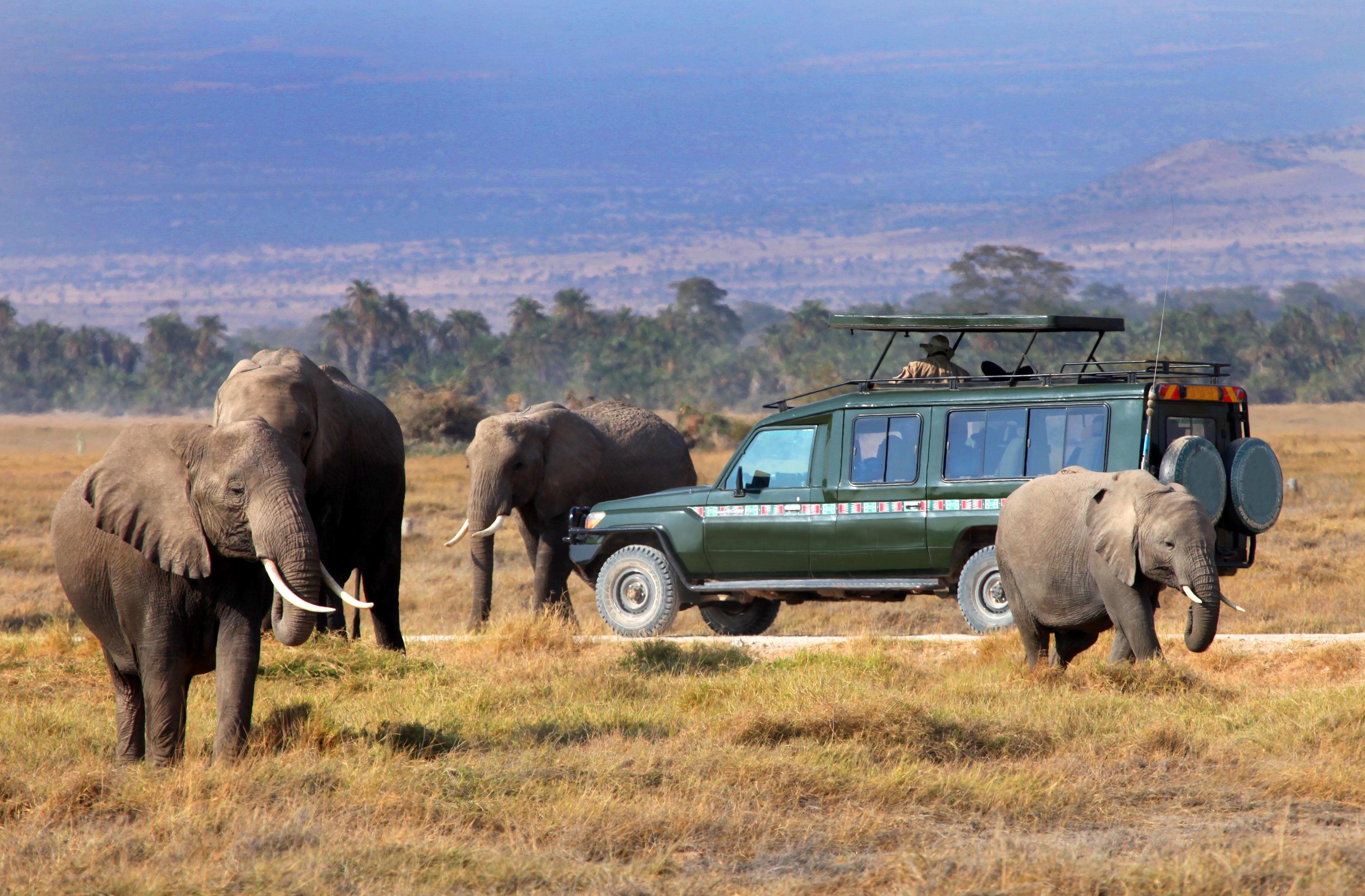 7 Days Masai mara and Tanzania safari unforgettable combo tour Africa safari holiday 